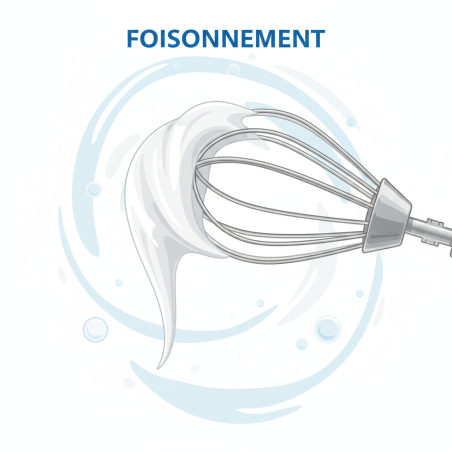 PÂTISSERIE MAÎTRISÉE