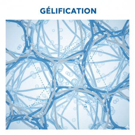 PÂTISSERIE MAÎTRISÉE